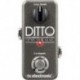 TC Electronic DITTO-LOOPER - Ditto Looper