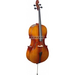 Stagg VNC-4/4L - Violoncelle 4/4 en érable avec housse