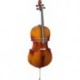 Stagg VNC-4/4L - Violoncelle 4/4 en érable avec housse