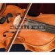 Prodipe VL21 - Micro statique pour violon et alto