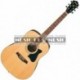 Ibanez V50NJP-NT - Pack guitare acoustique naturel