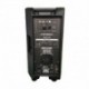 Definitive Audio KOALA 10A - Enceinte active ABS 900W