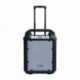 Power Acoustics FUNMOVE 200 - Sono Portable 200W sur batterie avec trolley