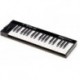 IK Multimedia IRIG-KEYS37-PRO - Clavier maitre 37 notes