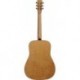 Norman NO021390 - Guitare acoustique B50 avec etui