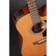 Takamine P1DC - Guitare dreadnough electro acoustique cutaway