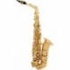 SML A300 - Saxophone alto débutant verni A300