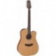 Takamine GD20CENS - Guitare dreadnought electro acoustique cutaway