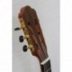 Prodipe Guitars PRIMERA 4/4 - Guitare classique 4/4