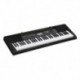 Casio CTK-2500 - Clavier arrangeur 61 notes non dynamique