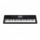Casio CT-X800 - Clavier arrangeur 61 notes noir