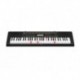 Casio LK-265CA - Clavier arrangeur à 61 touches lumineuses