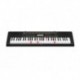 Casio LK-265CA - Clavier arrangeur à 61 touches lumineuses