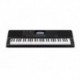 Casio CT-X700 - Clavier arrangeur 61 notes