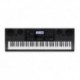 Casio WK-6600 - Clavier arrangeur 76 notes