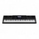 Casio WK-6600 - Clavier arrangeur 76 notes