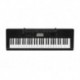 Casio CTK-3500 - Clavier arrangeur 61 notes non dynamique