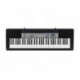 Casio CTK-1550 - Clavier arrangeur 61 notes non dynamique