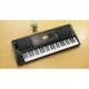 Korg EK-50 - Clavier arrangeur 61 touches