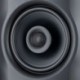 Fluid Audio FX80 - Enceinte monitoring 8"