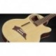 Warwick ALIEN-DLHYB4-10 - Basse électro-acoustique Alien Deluxe Thinline 4 cordes