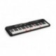 Casio LK-S250 - Clavier 61 touches lumineuses