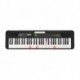 Casio LK-S250 - Clavier 61 touches lumineuses