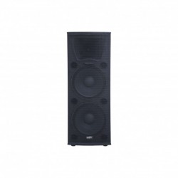 Power Acoustics DYS 215 V2 - Enceinte passive 1300W