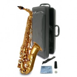 Saxophone alto d'étude en Mib + Etui + Courroie + Chiffon