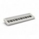 Casio CT-S1WE - Clavier 61 touches dynamiques blanc avec sonorités de claviers vintages