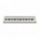 Casio CT-S1WE - Clavier 61 touches dynamiques blanc avec sonorités de claviers vintages