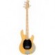 Sterling by Music Man RAY24CA-BSC-M1 - Basse electrique active Stingray Classic Butterscotch manche érable corps acajou