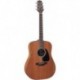 Takamine GD11MNS - Guitare acoustique Dreadnought