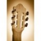 Kremona FIESTA FC - Guitare classique 4/4 cèdre massif