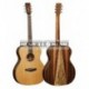 Tanglewood TWJFE - Guitare acoustique cèdre massif