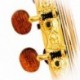 Kremona F65CW-SB ++ - Guitare electro classique 4/4 serie Performer table épicéa massif européen truss rod