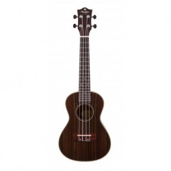 Prodipe Guitars BC220 - Ukulele Concert en Bois de rose