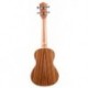 Prodipe Guitars BC25 - Ukulele Concert en Spruce Zebra