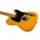 Prodipe Guitars TC80 MA BS - Guitare electrique type telecaster butterscotch