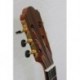 Prodipe Guitars LH PRIMERA 3/4 - Guitare classique 3/4 gaucher