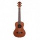 Prodipe Guitars BT3 - Ukulele Tenor 26" Acajou Sapele