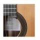 Prodipe Guitars SOLOIST 900 4/4 - Guitare classique 4/4 table cedre massif, fond et éclisses ovangkol massif