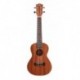 Prodipe Guitars BC210 - Ukulele Concert 23'' Acajou Mahogany