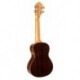 Prodipe Guitars BC420 - Ukulele Concert (Dos bombé) 23'' Cèdre massif + Housse