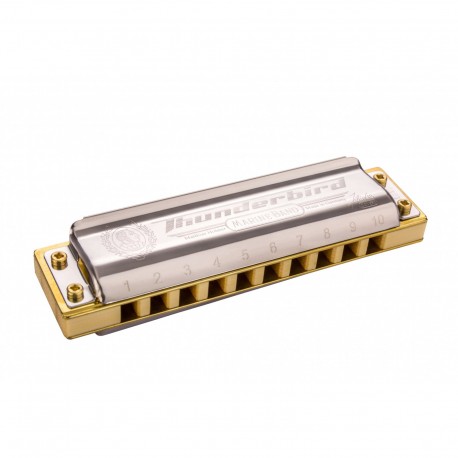 Hohner 2011/20 C LOW - Harmonica diatonique MB Thunderbird 10 trous en Do octave inférieure