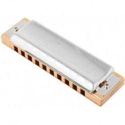 Hohner 589/01 - Harmonica diatonique Bob Dylan Signature 10 trous en Do