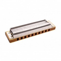 Hohner 1896/20 D - Harmonica diatonique Marine Band 10 trous en Ré