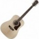 Washburn HD10S - Guitare Folk Dreadnought table épicéa Sitka massif