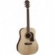 Washburn HD10S - Guitare Folk Dreadnought table épicéa Sitka massif