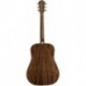 Washburn HD10S - Guitare Folk Dreadnought table épicéa Sitka massif